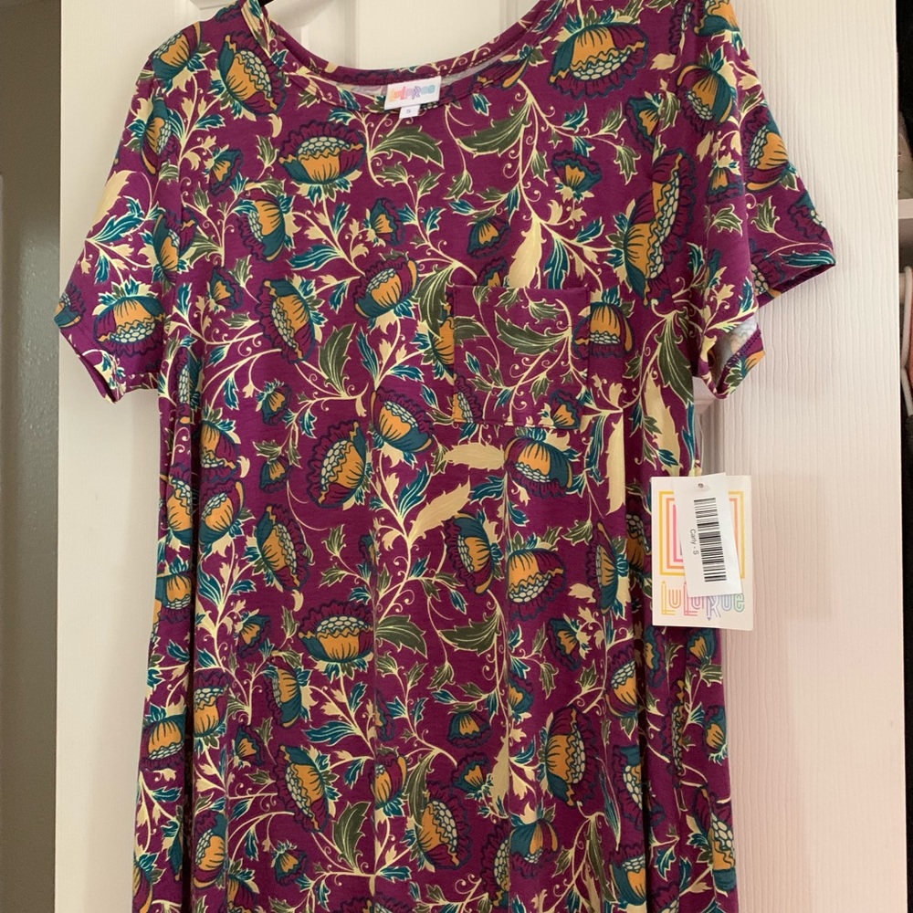 COPY - Lularoe Women’s Carly Swing Dress Small